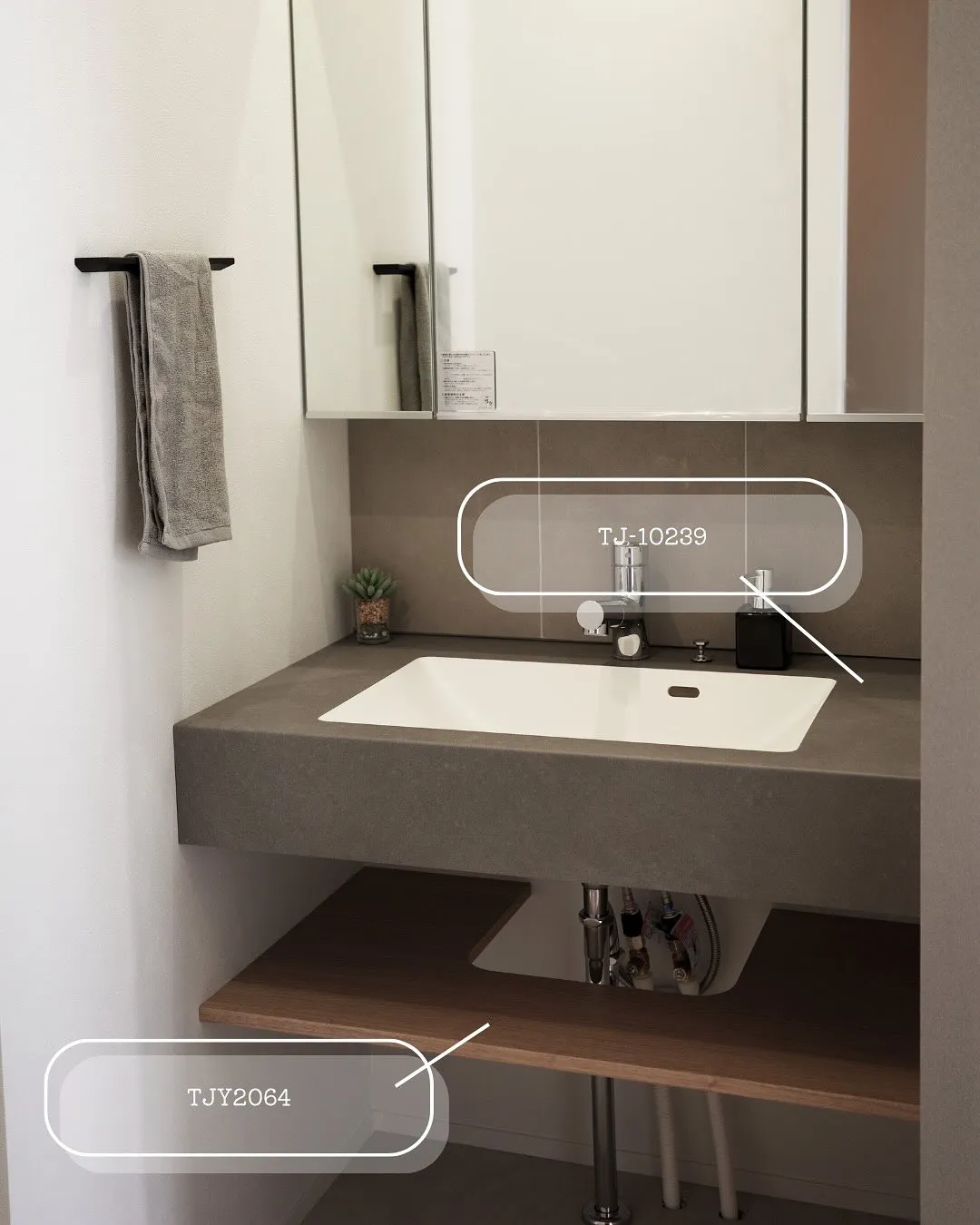 AICAの洗面色番公開📝